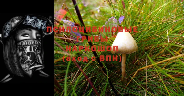 круглые Аркадак